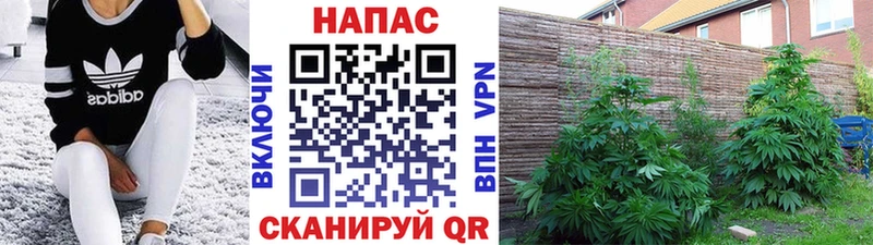 Купить закладку КОКАИН  Меф  Белинский