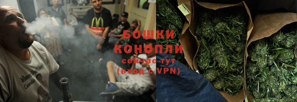гидра Богородск