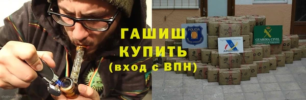гидра Богородск