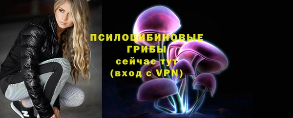 соль курить ск Богданович