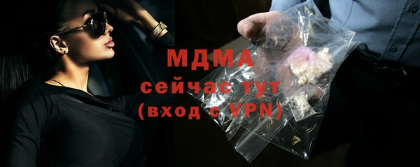 гидра Богородск