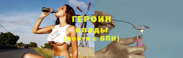 гидра Богородск