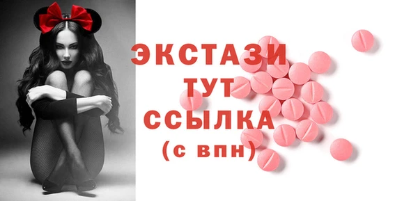 гидра Богородск