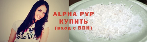 гидра Богородск