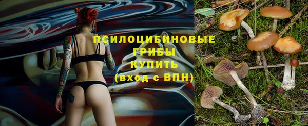 гашик Богородицк