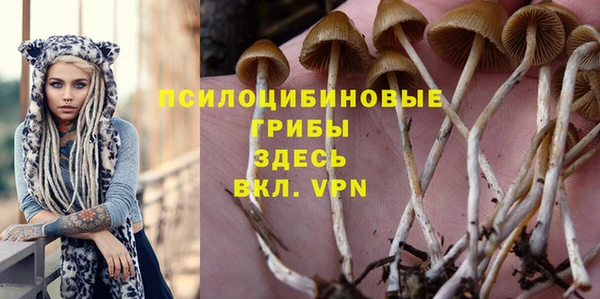 гидра Богородск