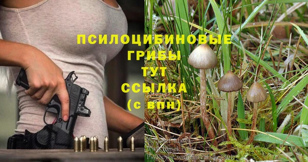 гашик Богородицк