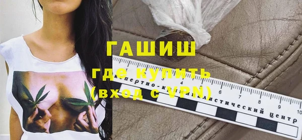 гидра Богородск