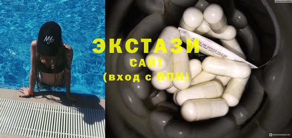 гидра Богородск