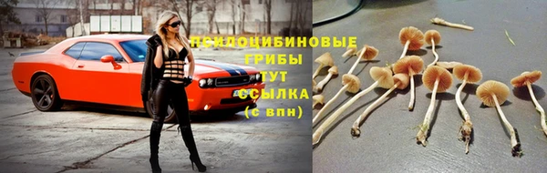 гидра Богородск