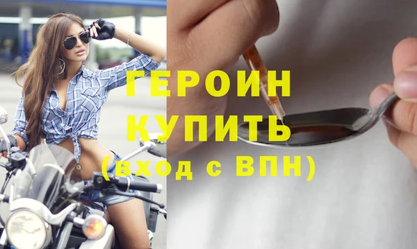 гидра Богородск