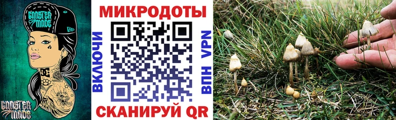 Купить  Белинский  Псилоцибиновые грибы прущие грибы 